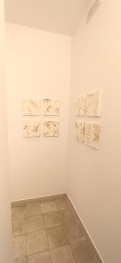 巴里Casa Nella Pietra Viva公寓 外观 照片